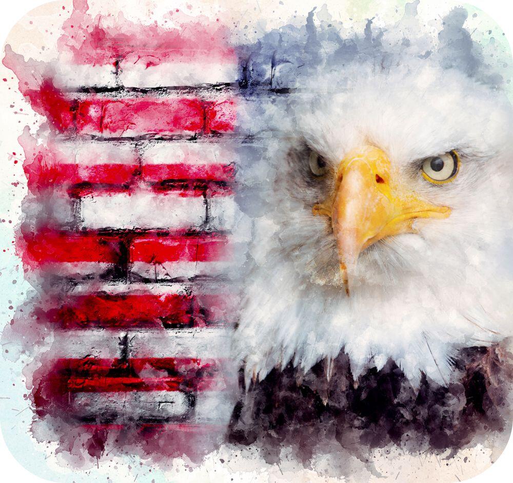 Watercolor Eagle USA Mug