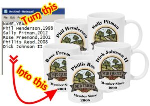 personalized mugs bulk